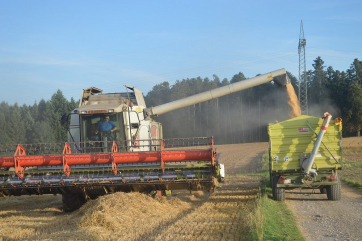 «Совэкон» повысила прогноз по урожаю российской пшеницы